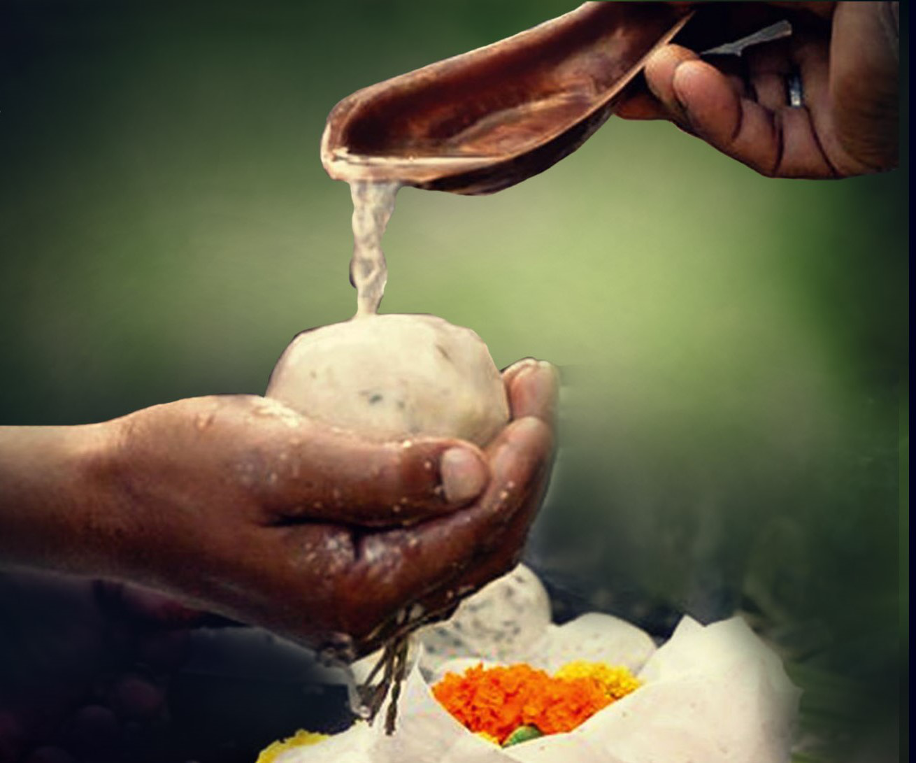 Pitru Dosha Category