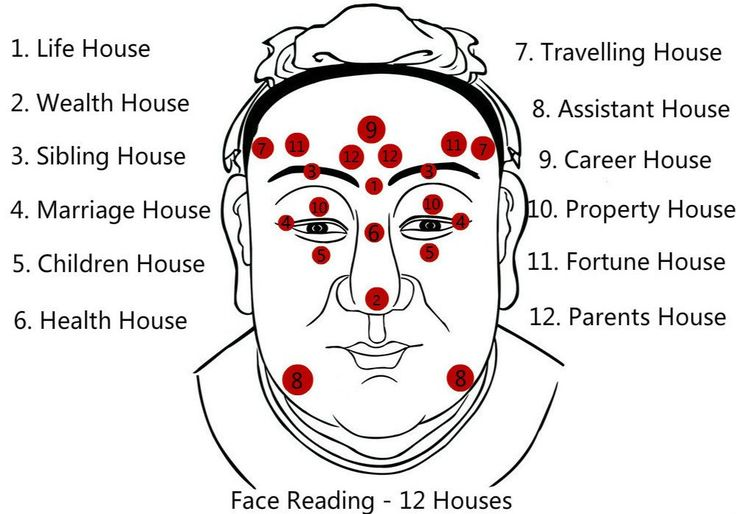 Face Reading (Mukhakriti Shastra) Category