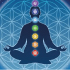 Chakra and Energy Healing Category